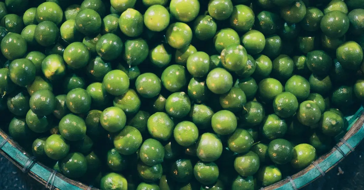 Guide des Expériences Bien-Être Essentielles